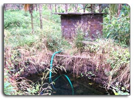 Plot for sale at Elaveeza poonchira